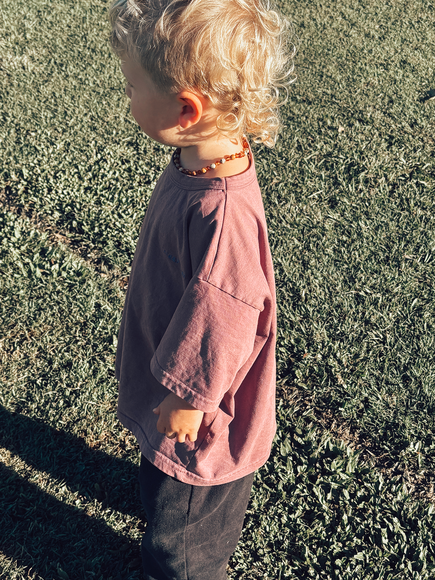 Lottie